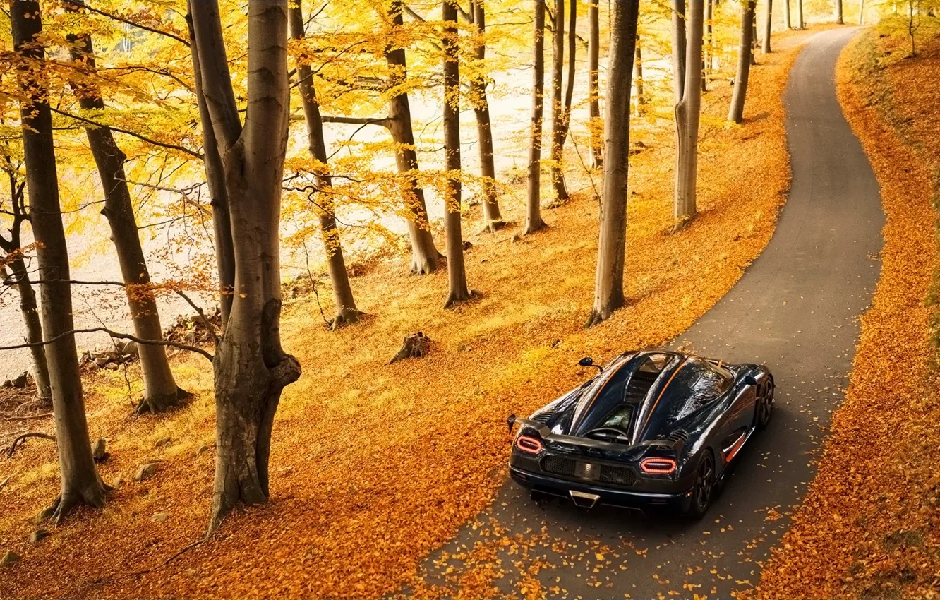 Фото обои осень, фон, Koenigsegg, суперкар, вид сзади, Agera, гиперкар, Агера