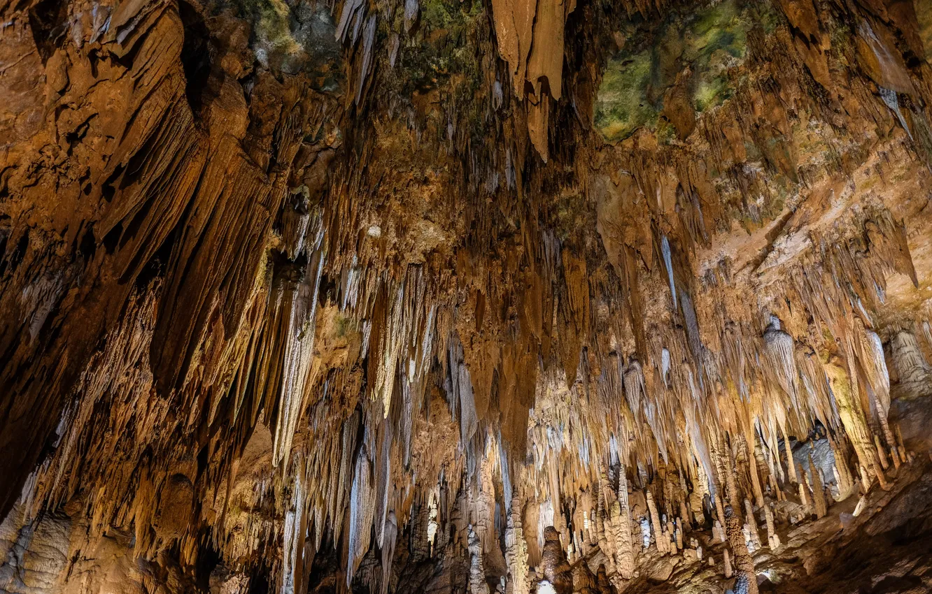 Фото обои Вирджиния, сталактиты, Лурейские пещеры
