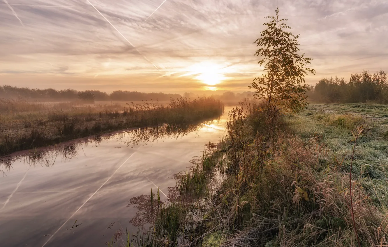 Фото обои осень, природа, туман, река, утро
