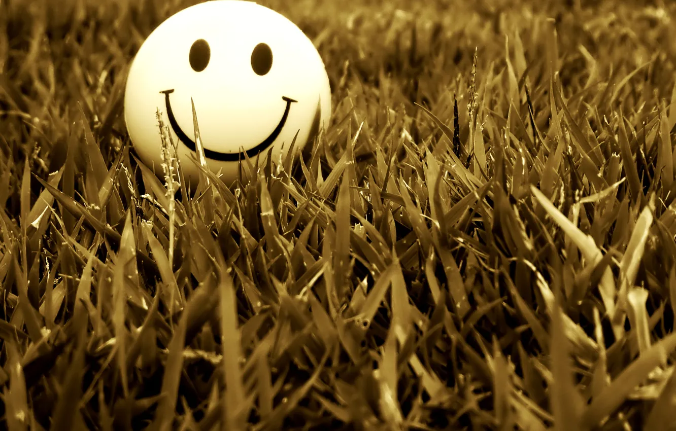 Фото обои трава, улыбка, настроение, смайл, smile