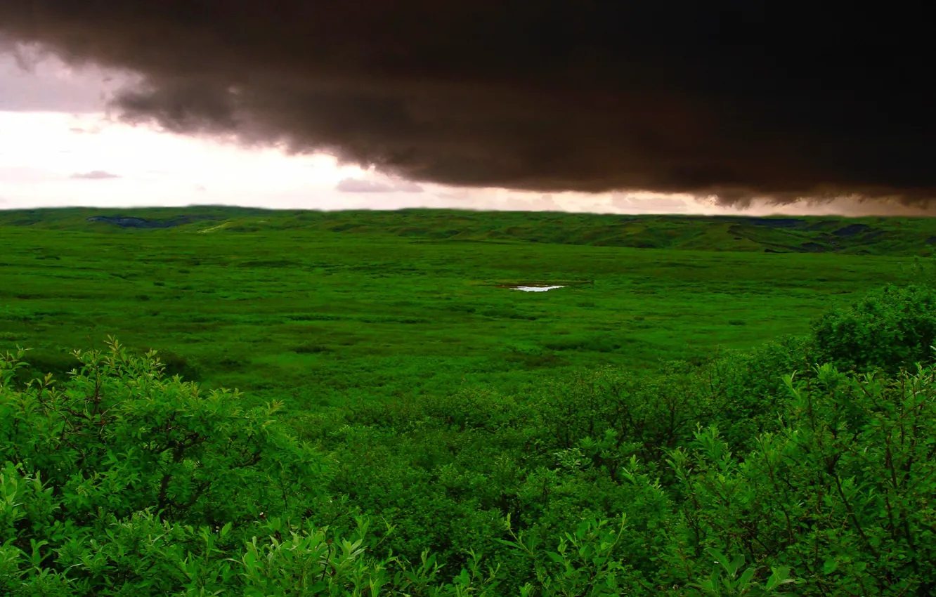 Фото обои поле, трава, облака, буря, Зеленый
