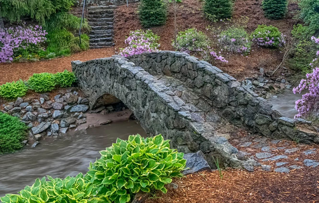 Фото обои цветы, мост, парк, ручей, Южная Каролина, США, Гринвилл