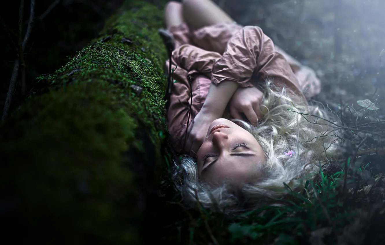 Фото обои лес, сон, белокурая девушка