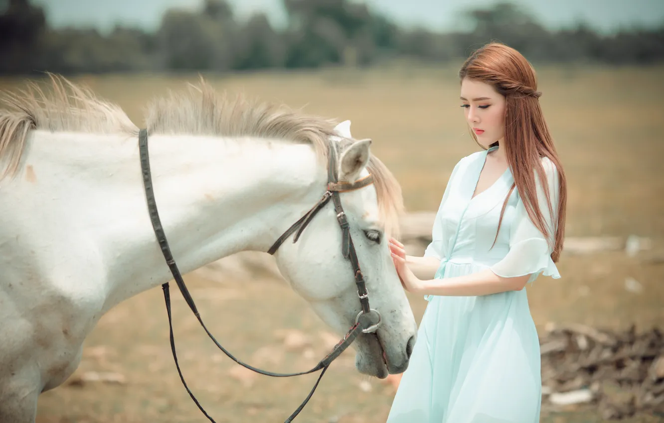 Фото обои поле, белый, морда, девушка, природа, поза, конь, лошадь
