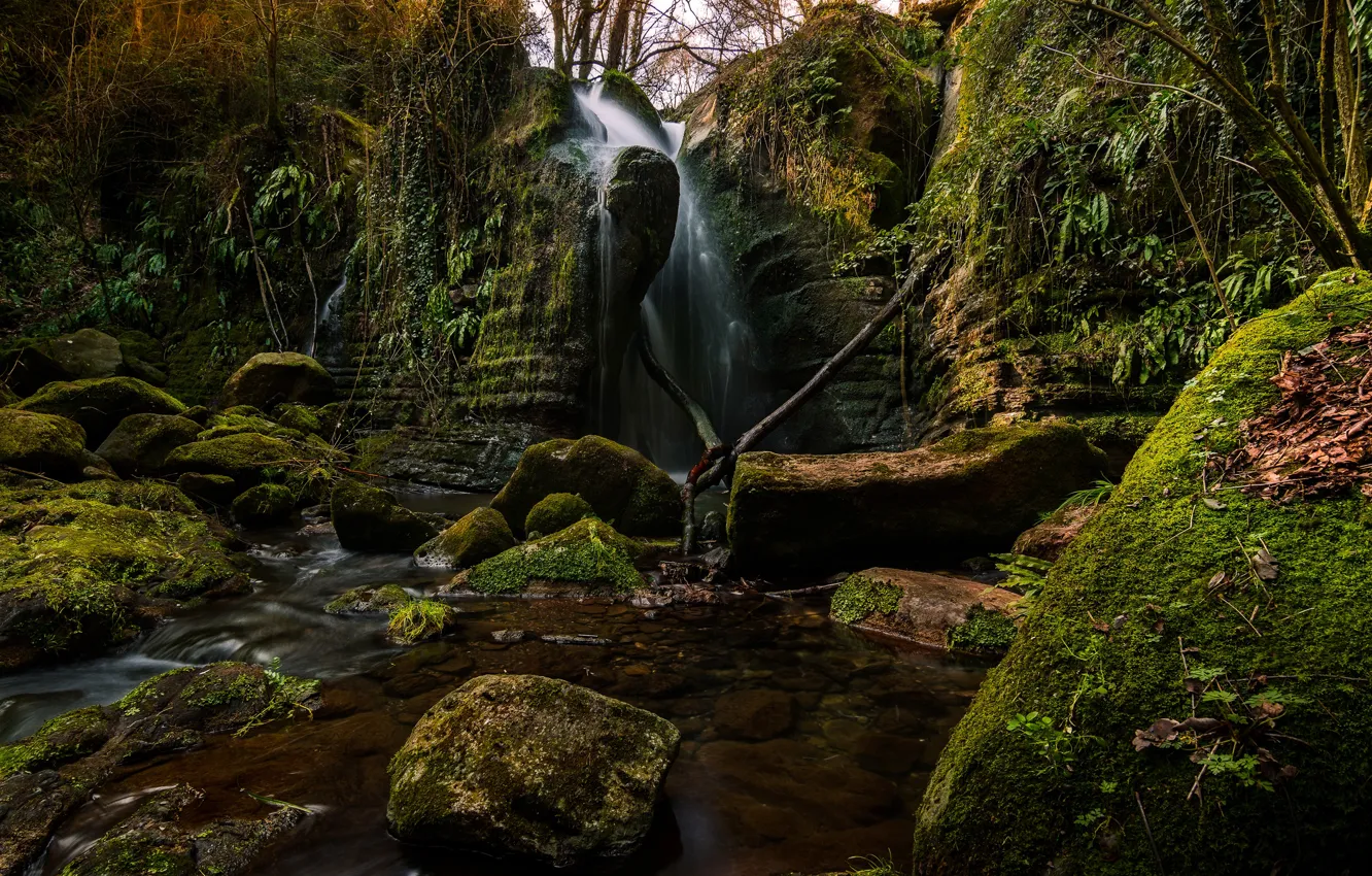 Фото обои деревья, скала, камни, водопад, мох, Испания, Catalonia, El Sallent