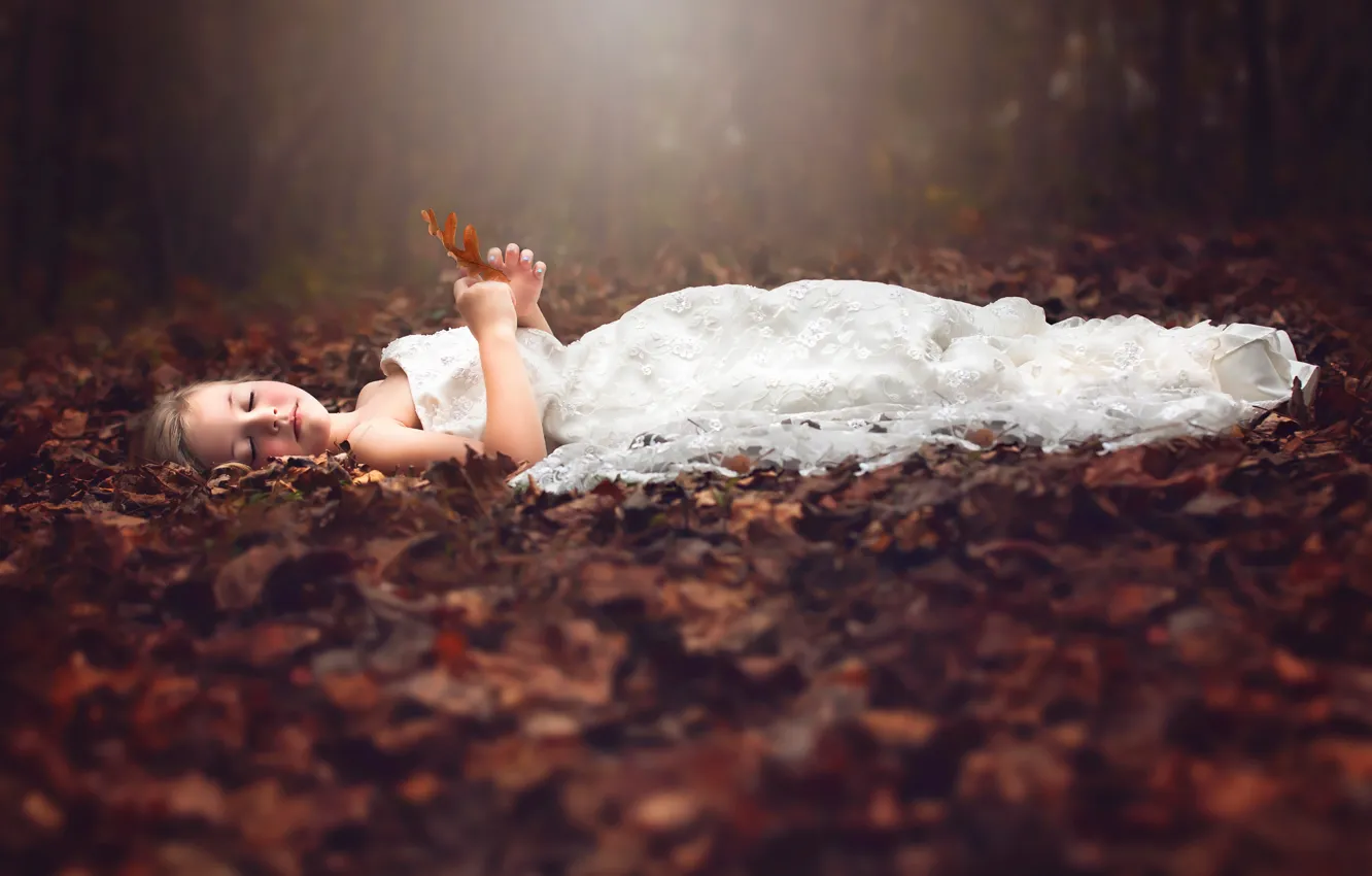 Фото обои осень, лес, отдых, платье, Julia Altork, Heirloom