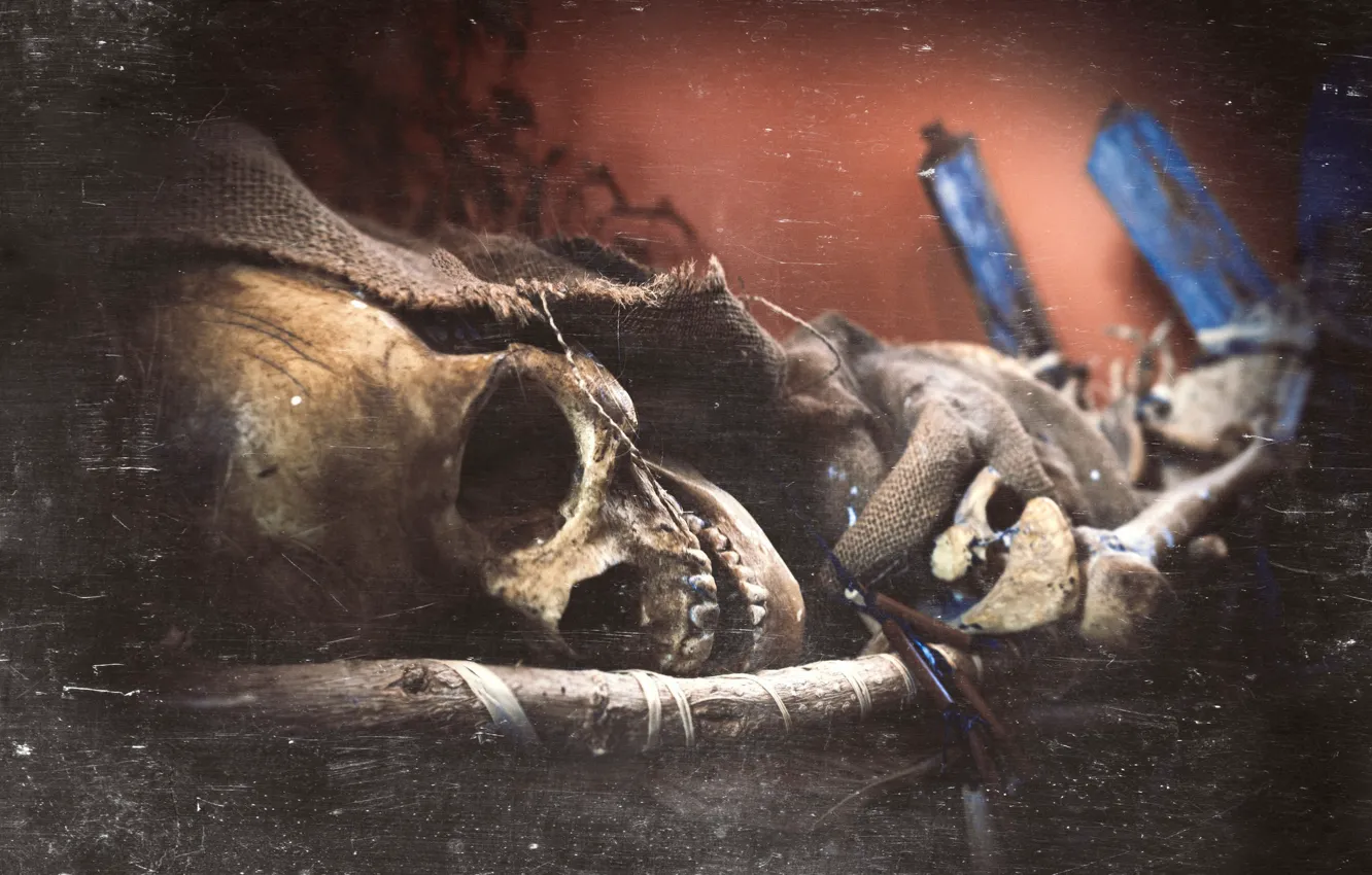 Фото обои череп, текстура, скелет, Scotland, Оркнейские острова, Щотландия, Гробница орлов, Orkney