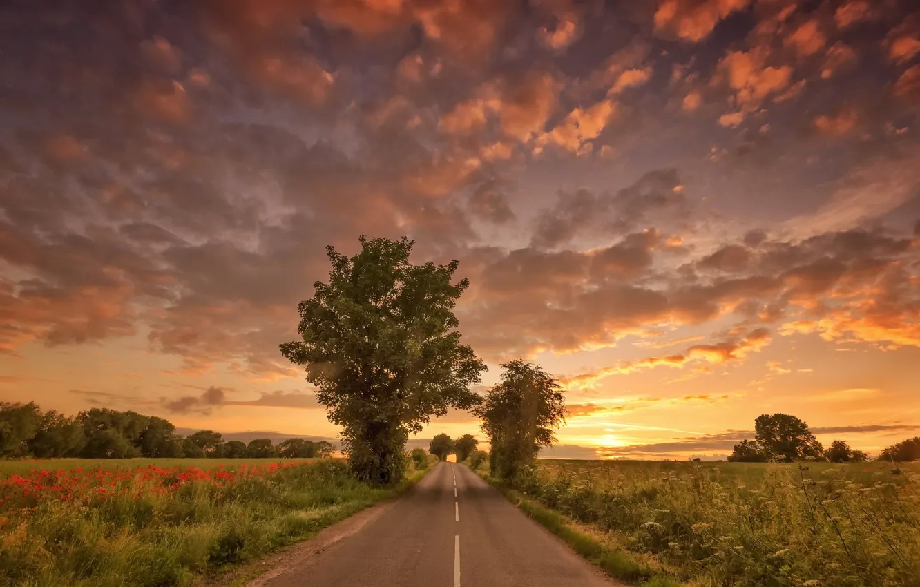 Фото обои дорога, лето, закат
