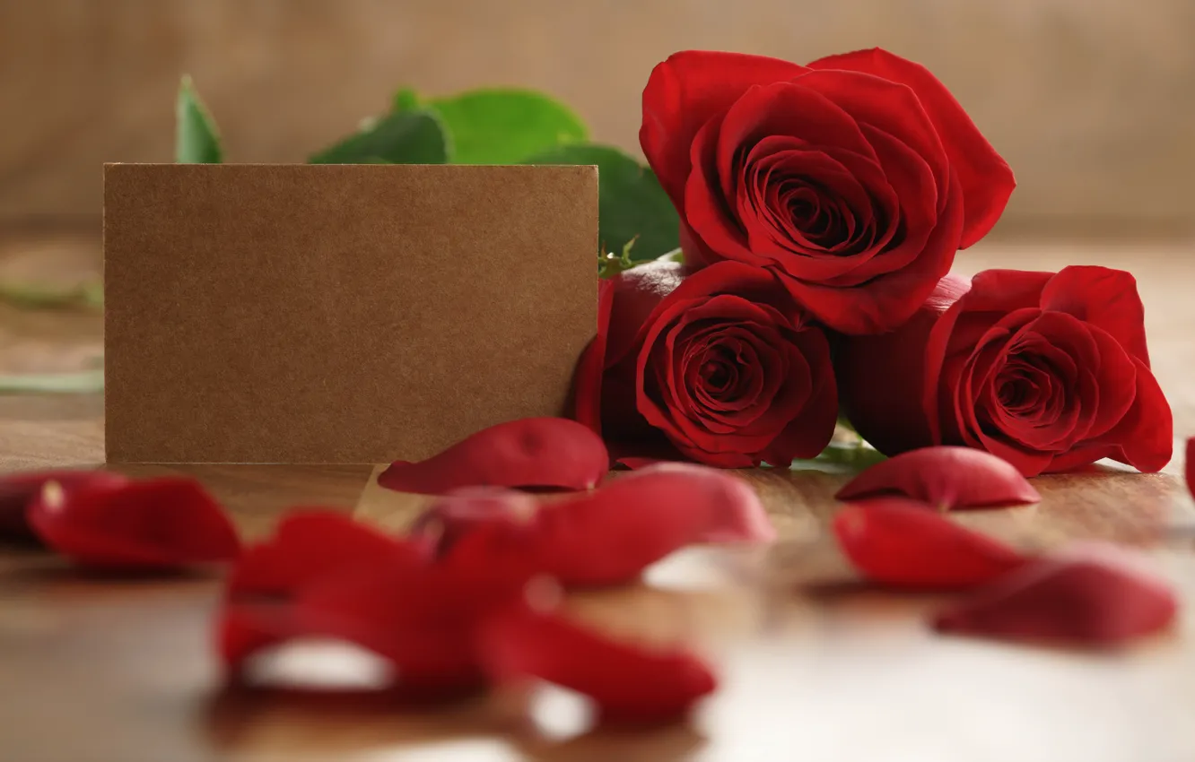Фото обои букет, лепестки, red, romantic, gift, roses, красные розы