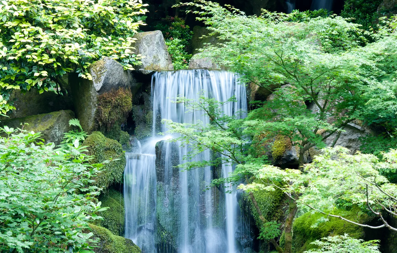Фото обои лес, листья, деревья, пейзаж, скала, река, камни, водопад