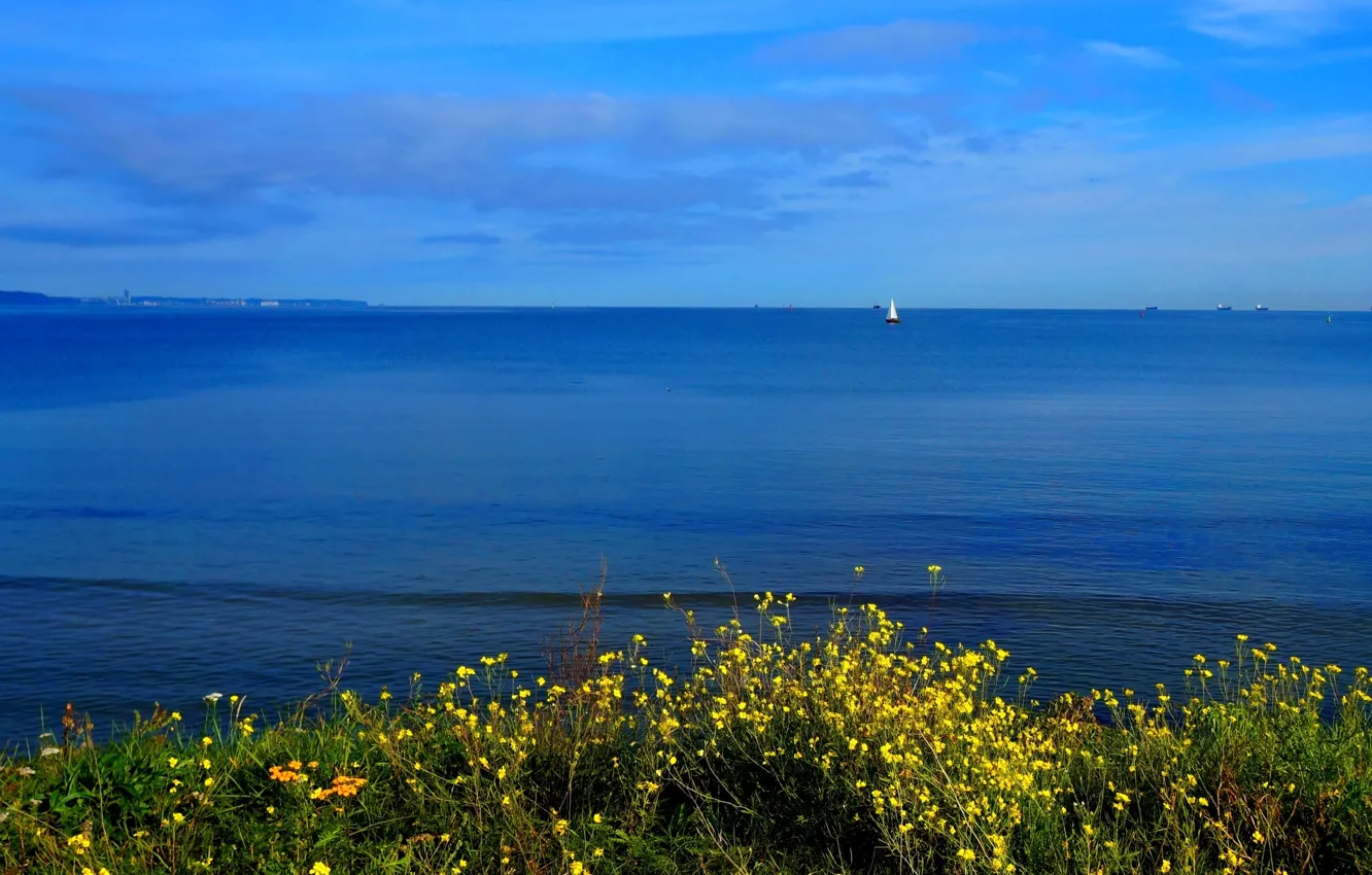 Фото обои green, sea, ocean, water