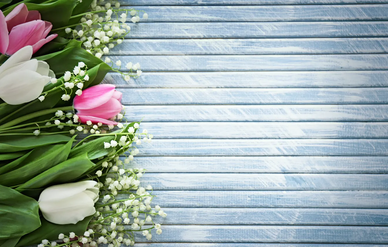 Фото обои цветы, весна, тюльпаны, ландыши, wood, flowers, tulips, spring