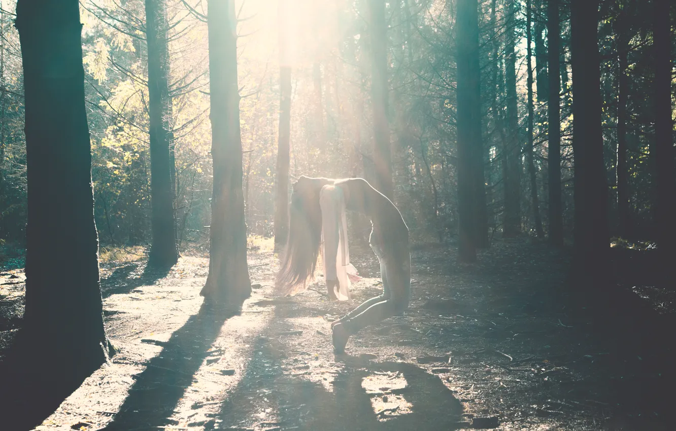 Фото обои лес, девушка, лучи, деревья, длинноволосая