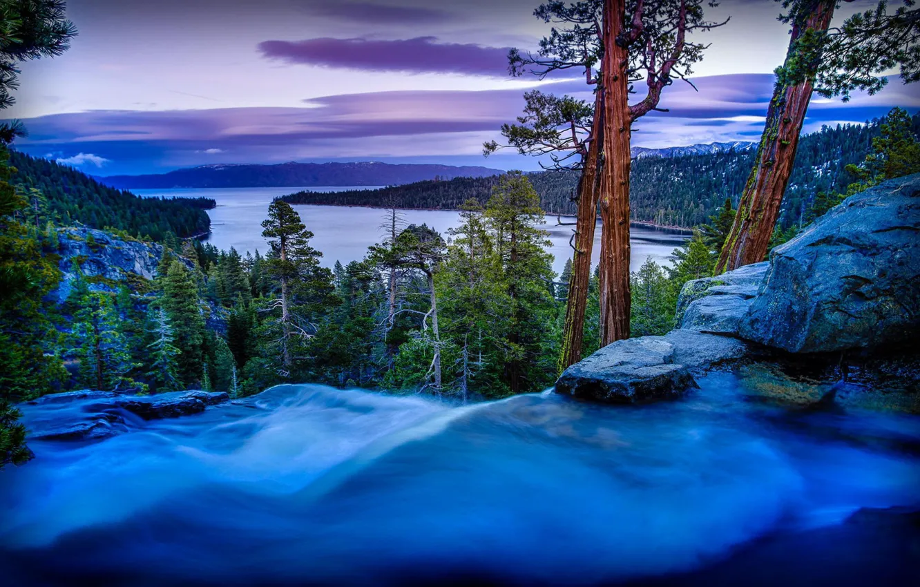 Фото обои USA, forest, twilight, river, sky, trees, landscape, nature