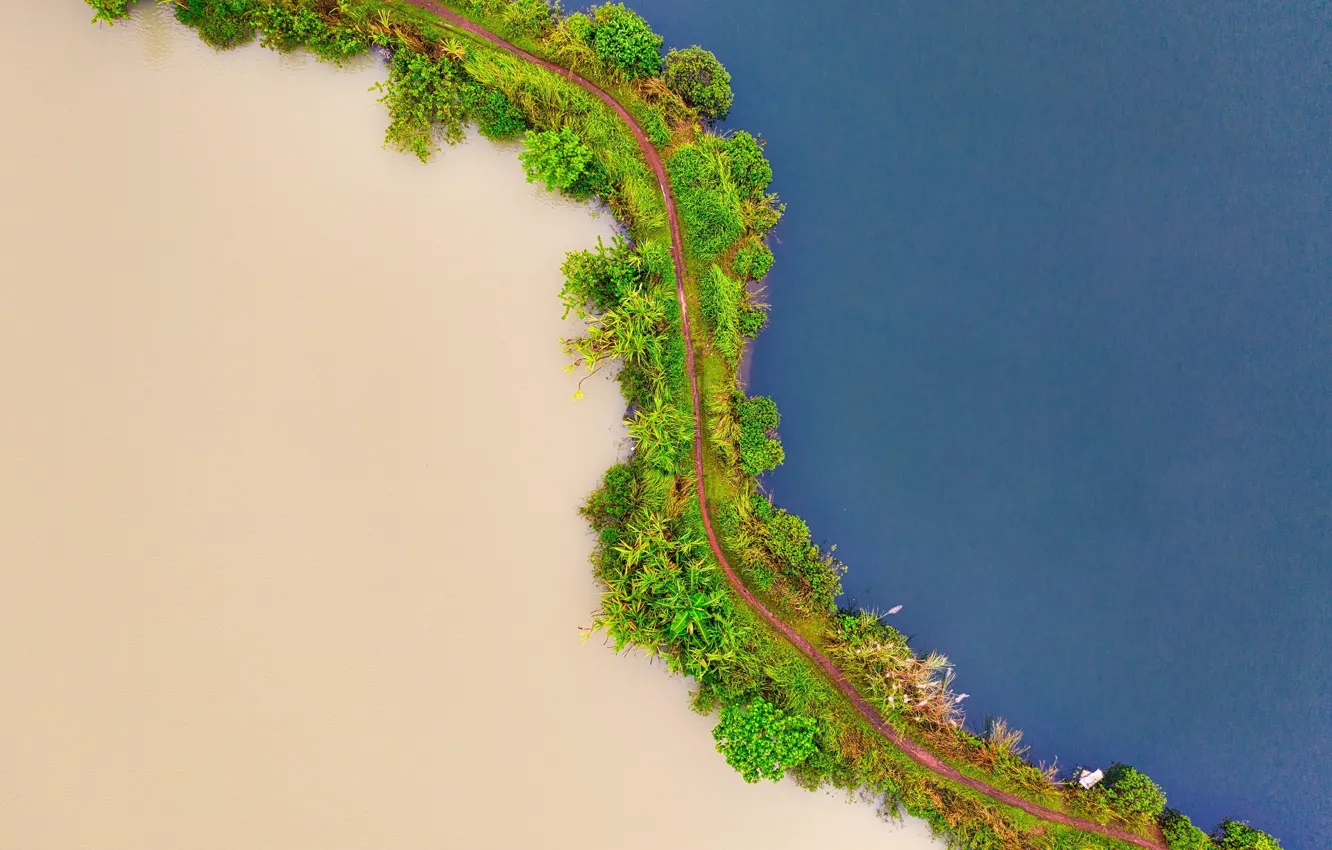 Фото обои beach, landscape, nature, sand, Sea, path, vegetation, aerial view