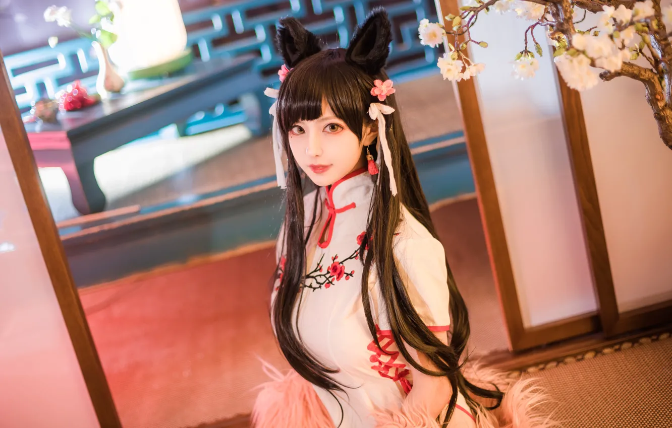 Фото обои девушка, одежда, волосы