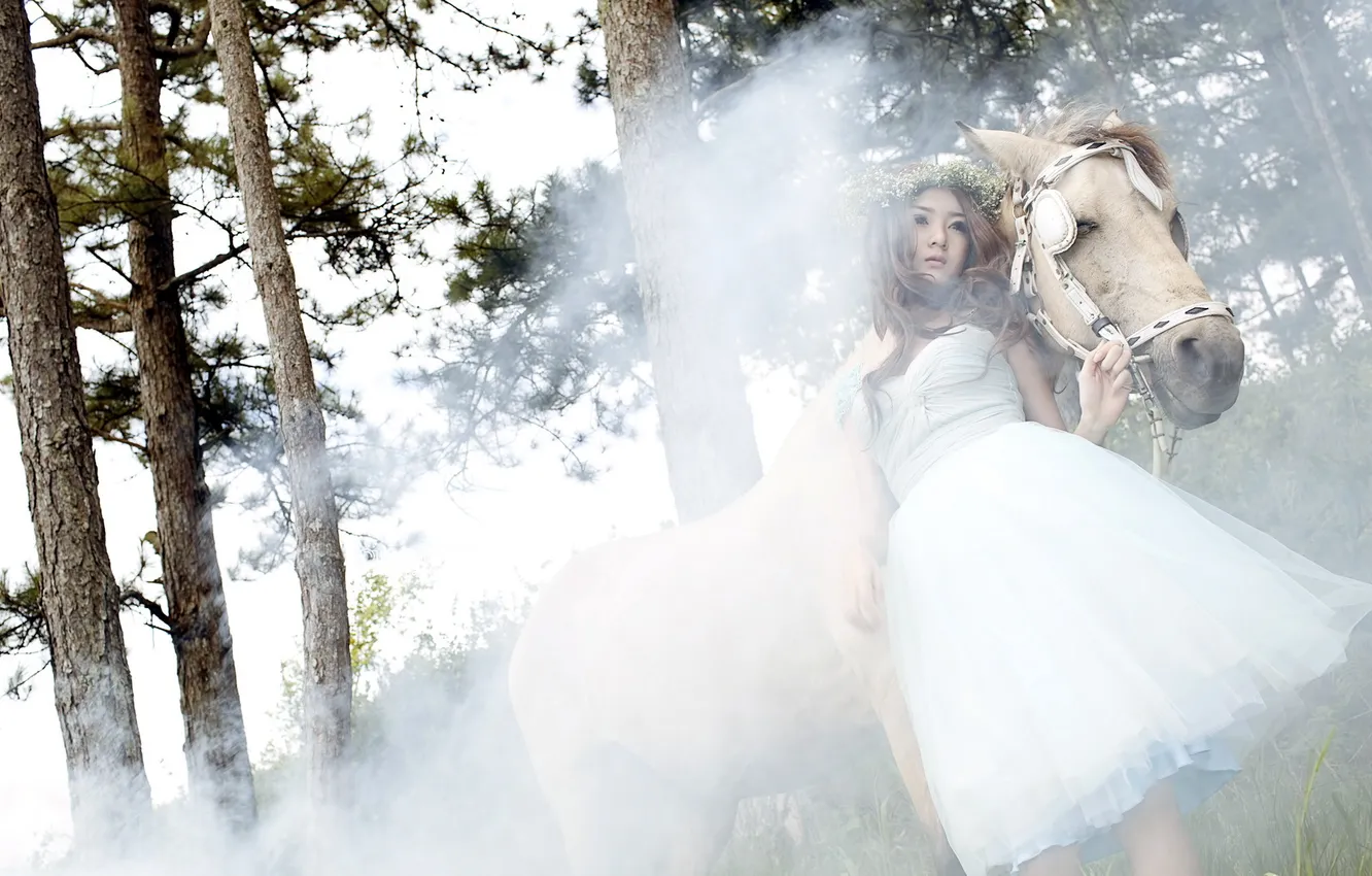 Фото обои девушка, туман, конь