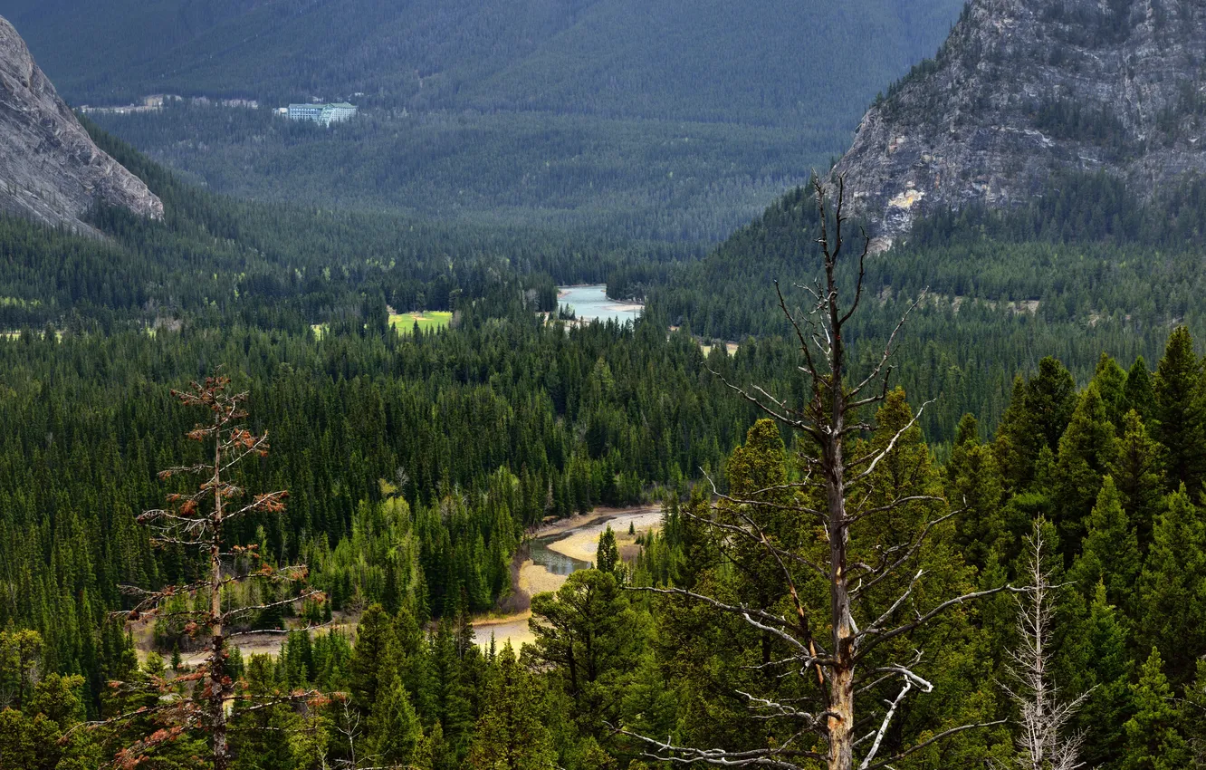 Фото обои лес, деревья, горы, река, долина, Канада, Альберта, Banff National Park