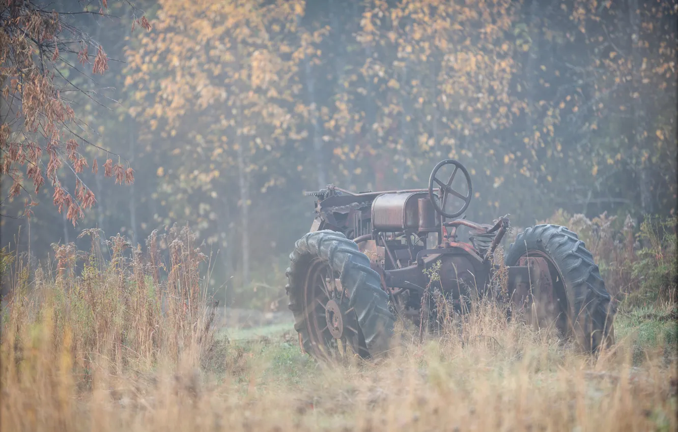 Фото обои осень, природа, туман, трактор
