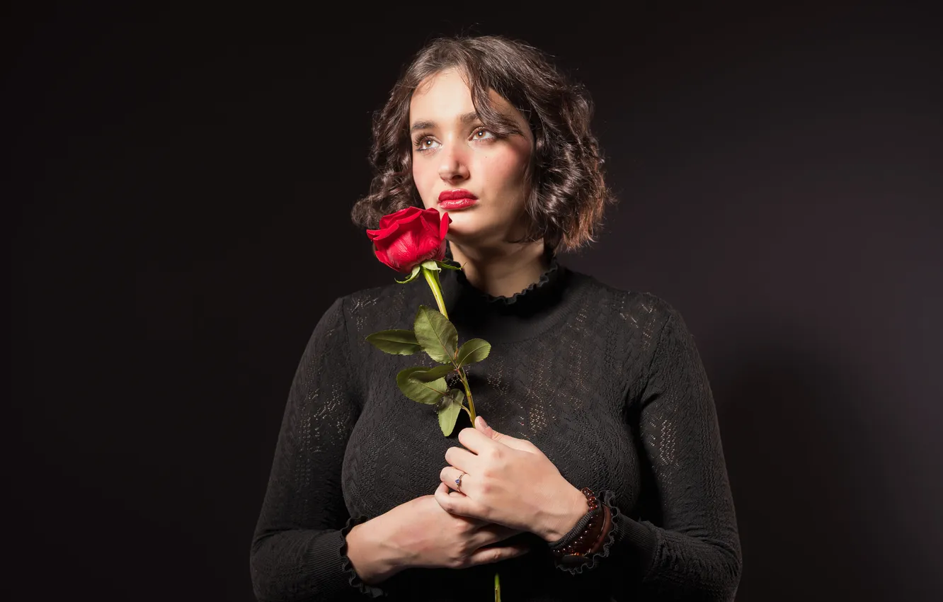 Фото обои роза, блузка, Camille