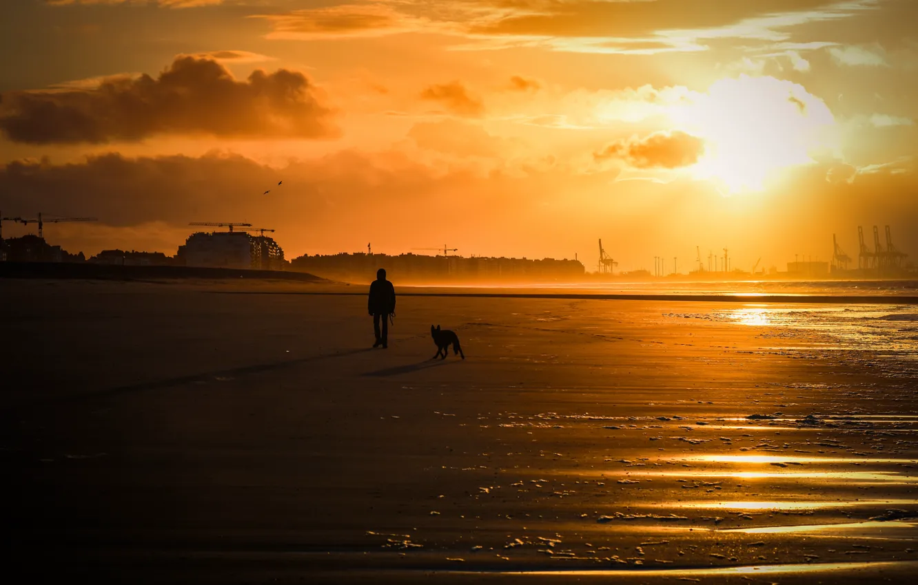 Фото обои море, человек, собака, прогулка