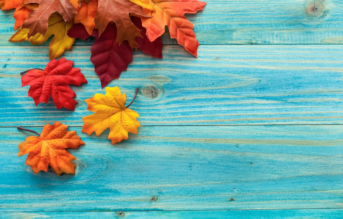 Фото обои осень, листья, доски, клен