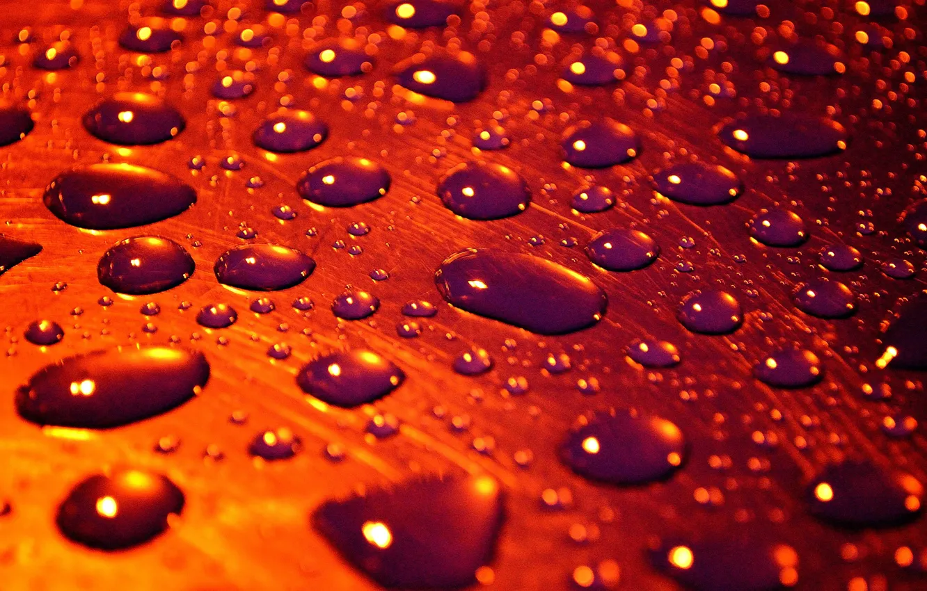 Фото обои вода, капли, поверхность, macro, drops of rain