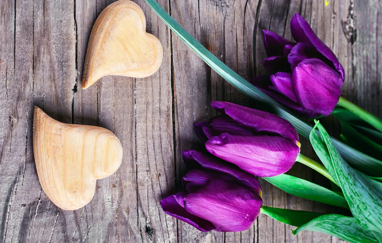 Фото обои любовь, сердце, фиолетовые, тюльпаны, love, with, flowers, romantic