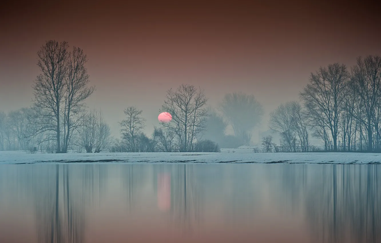 Фото обои зима, деревья, озеро, восход, рассвет, утро