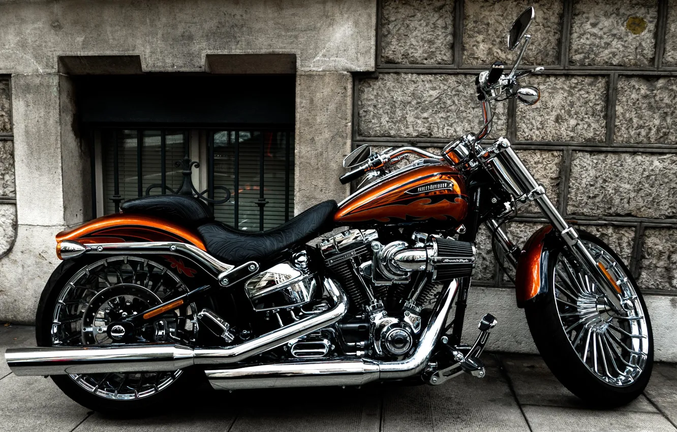 Фото обои Harley Davidson, Custom, Motorcycle