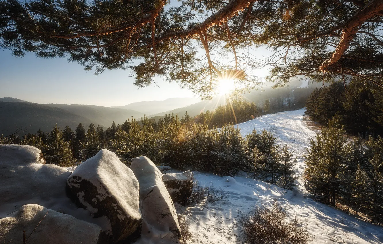 Фото обои зима, лес, солнце, лучи, свет, снег, горы, ветки