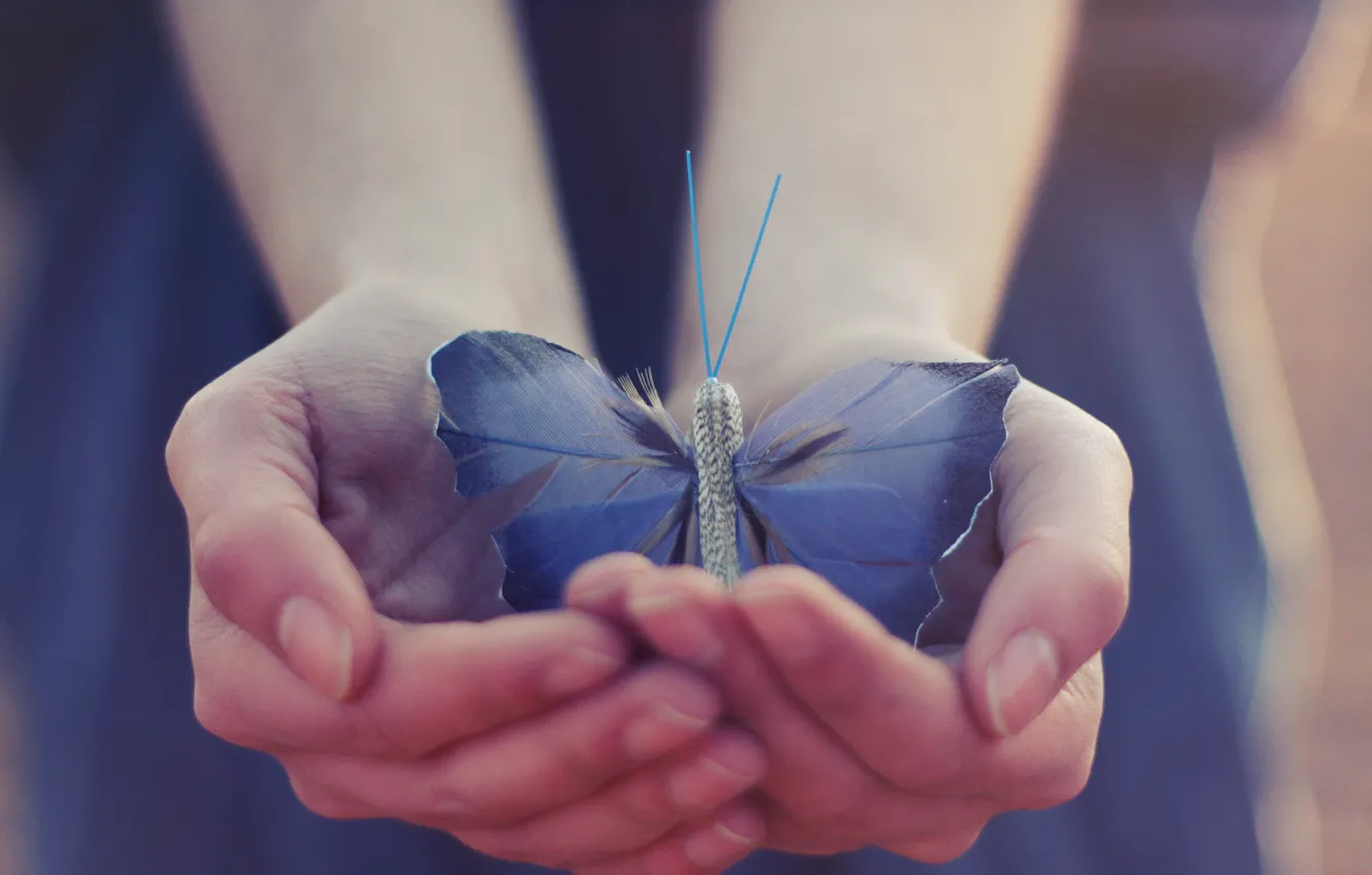 Фото обои бабочка, крылья, руки