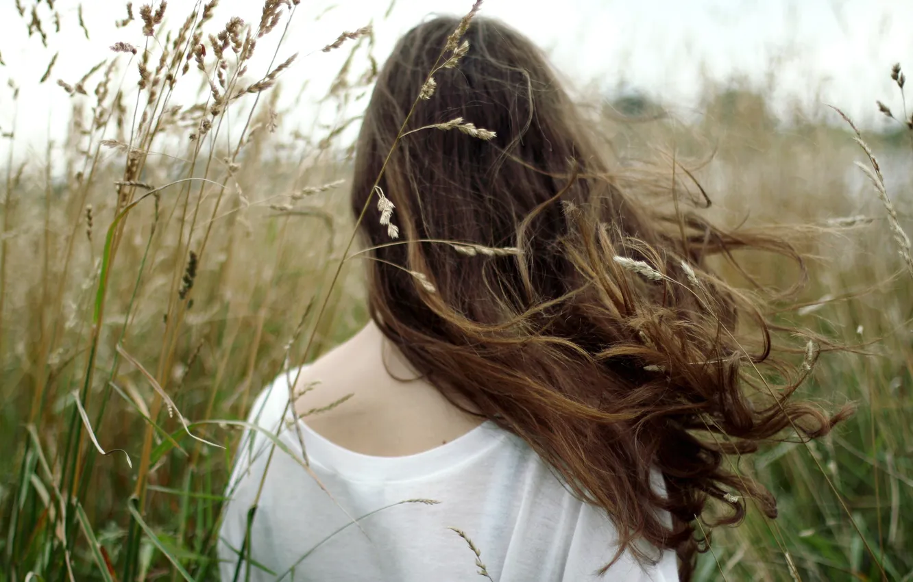 Фото обои трава, девушка, ветер, шатенка