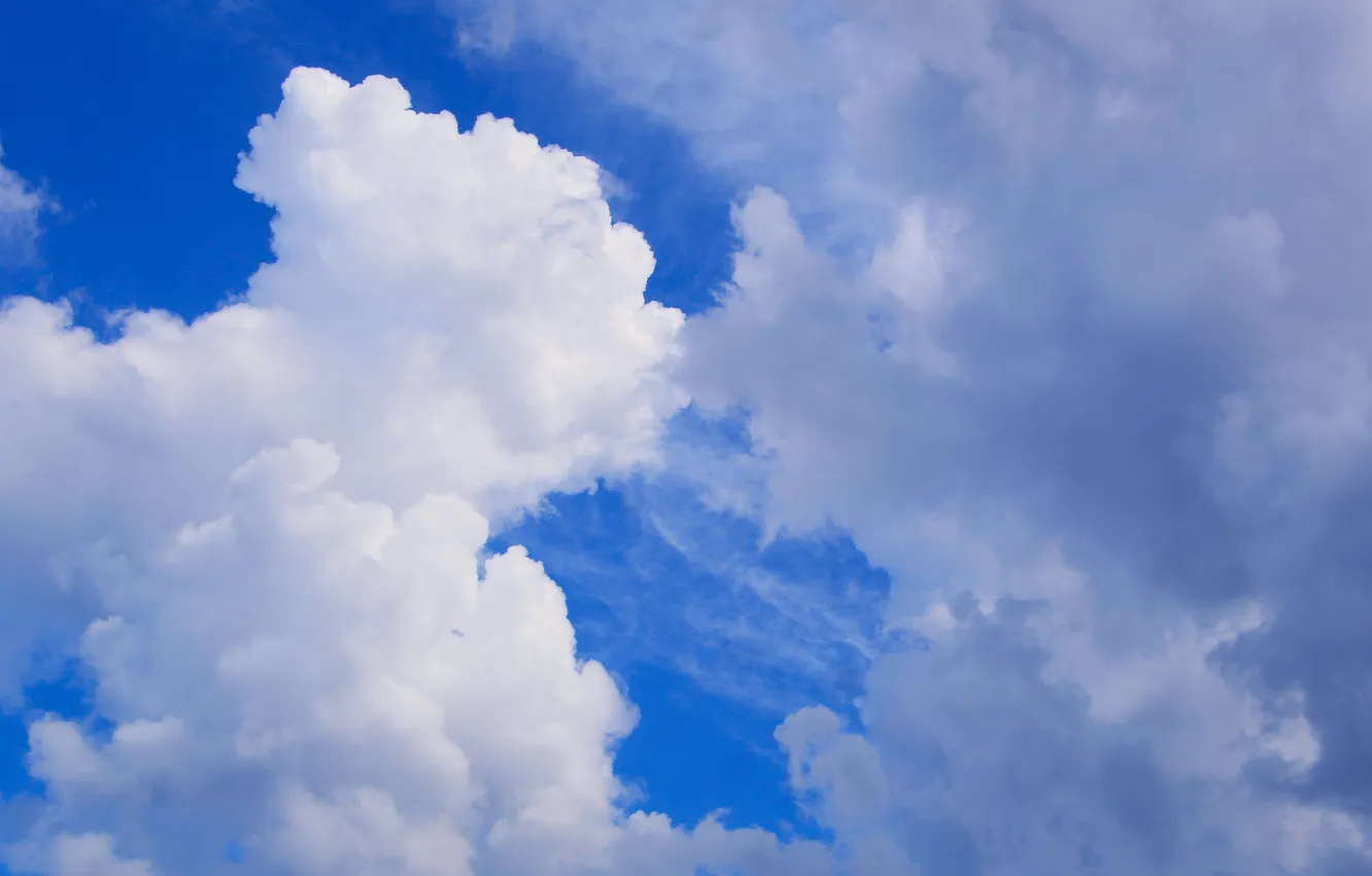 Фото обои sky, blue, cloud