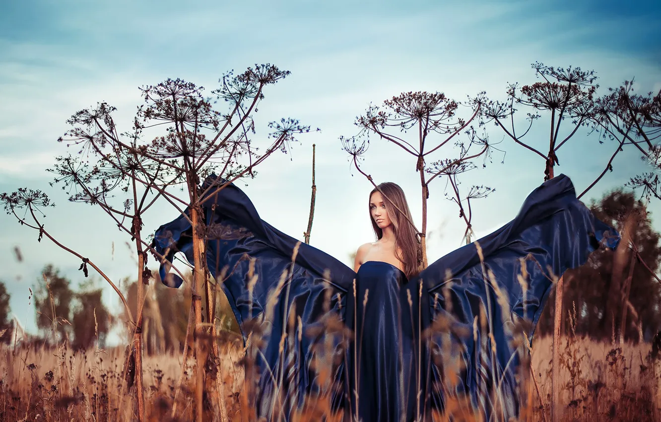 Фото обои грусть, поле, осень, небо, девушка, поза, бабочка, крылья