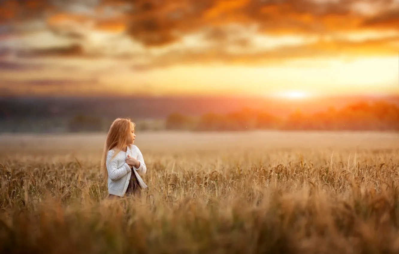 Фото обои поле, закат, природа, ребенок, вечер, девочка, Renat Fotov