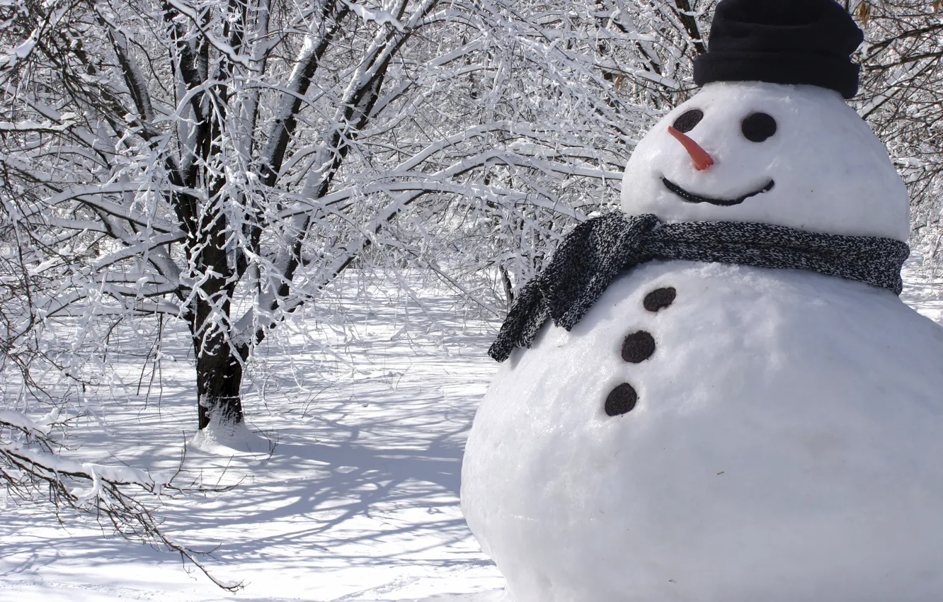 Фото обои снеговик, Christmas, winter, snow, snowman