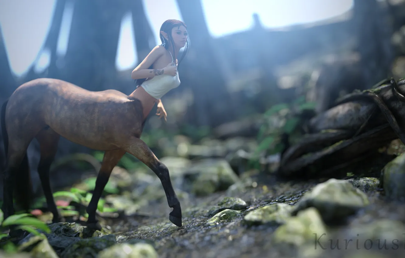 Фото обои Fantasy, Render, Centaur