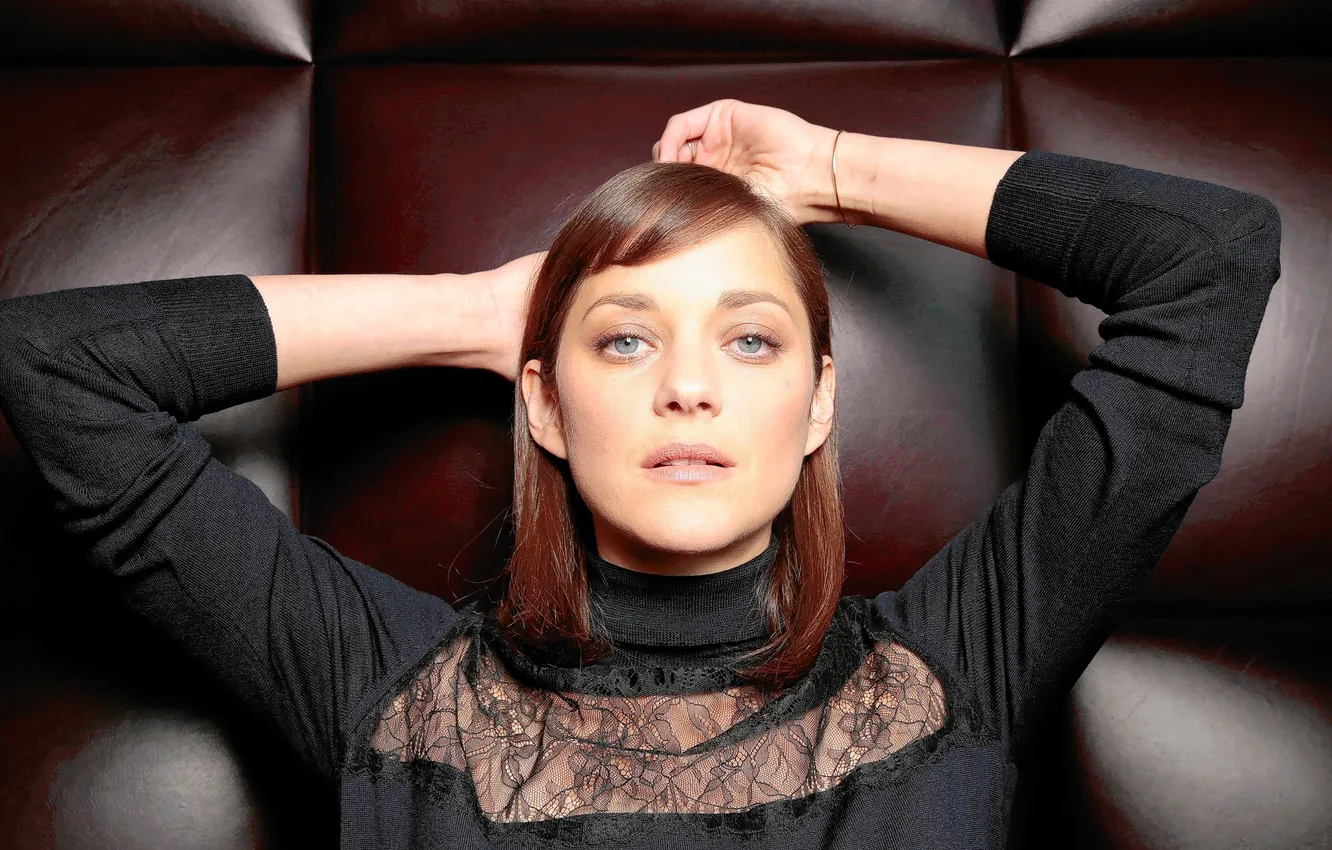 Фото обои фотосессия, Marion Cotillard, Los Angeles Times