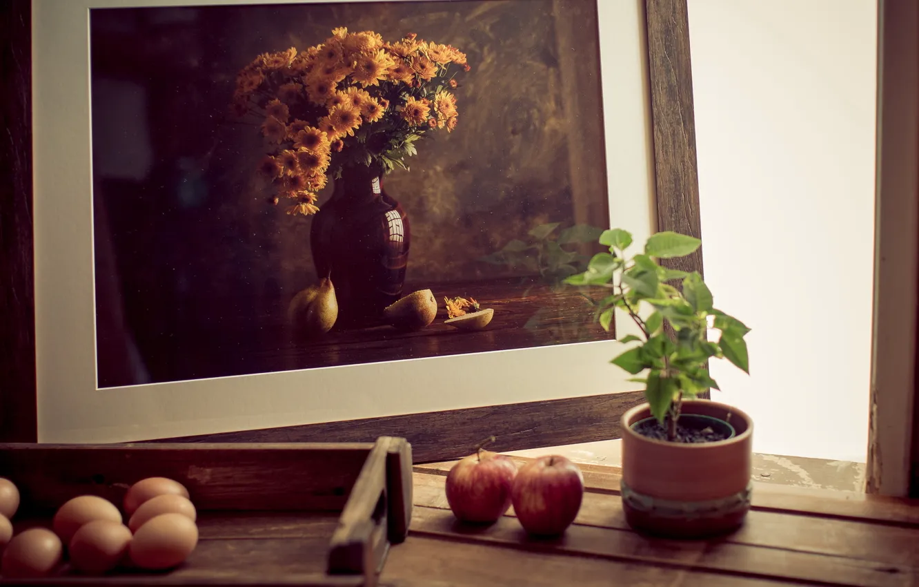 Фото обои фотография, яблоки, растение, яйца, рамка, натюрморт, горшочек, обои от lolita777
