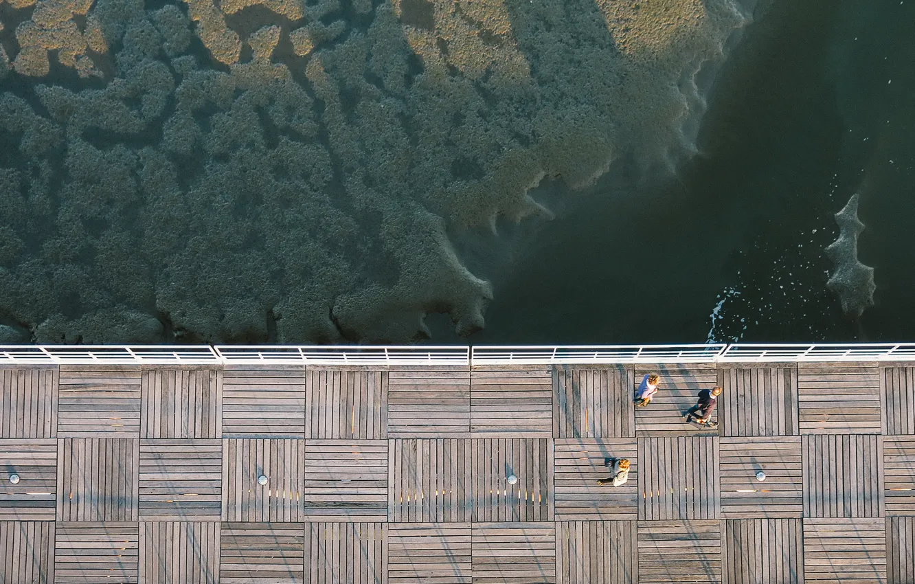 Фото обои ocean, water, people, bay, height, dock, above