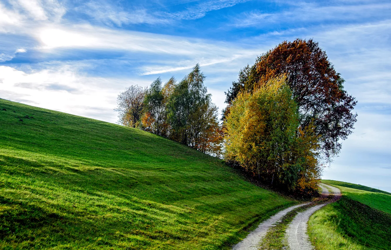 Фото обои дорога, осень, небо, трава, деревья, склон, холм