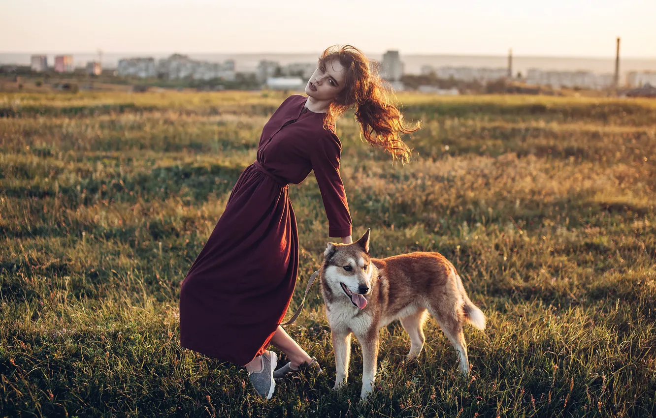 Фото обои девушка, поза, собака, платье, луг, Roma Roma