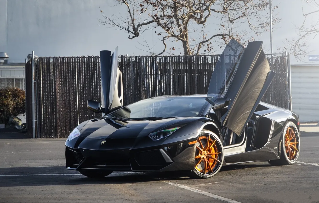 Фото обои отражение, чёрный, lamborghini, black, вид спереди, aventador, lp700-4, ламборгини