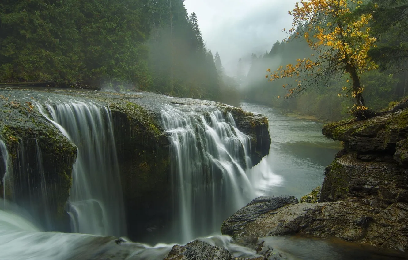 Фото обои осень, лес, природа, река, водопад