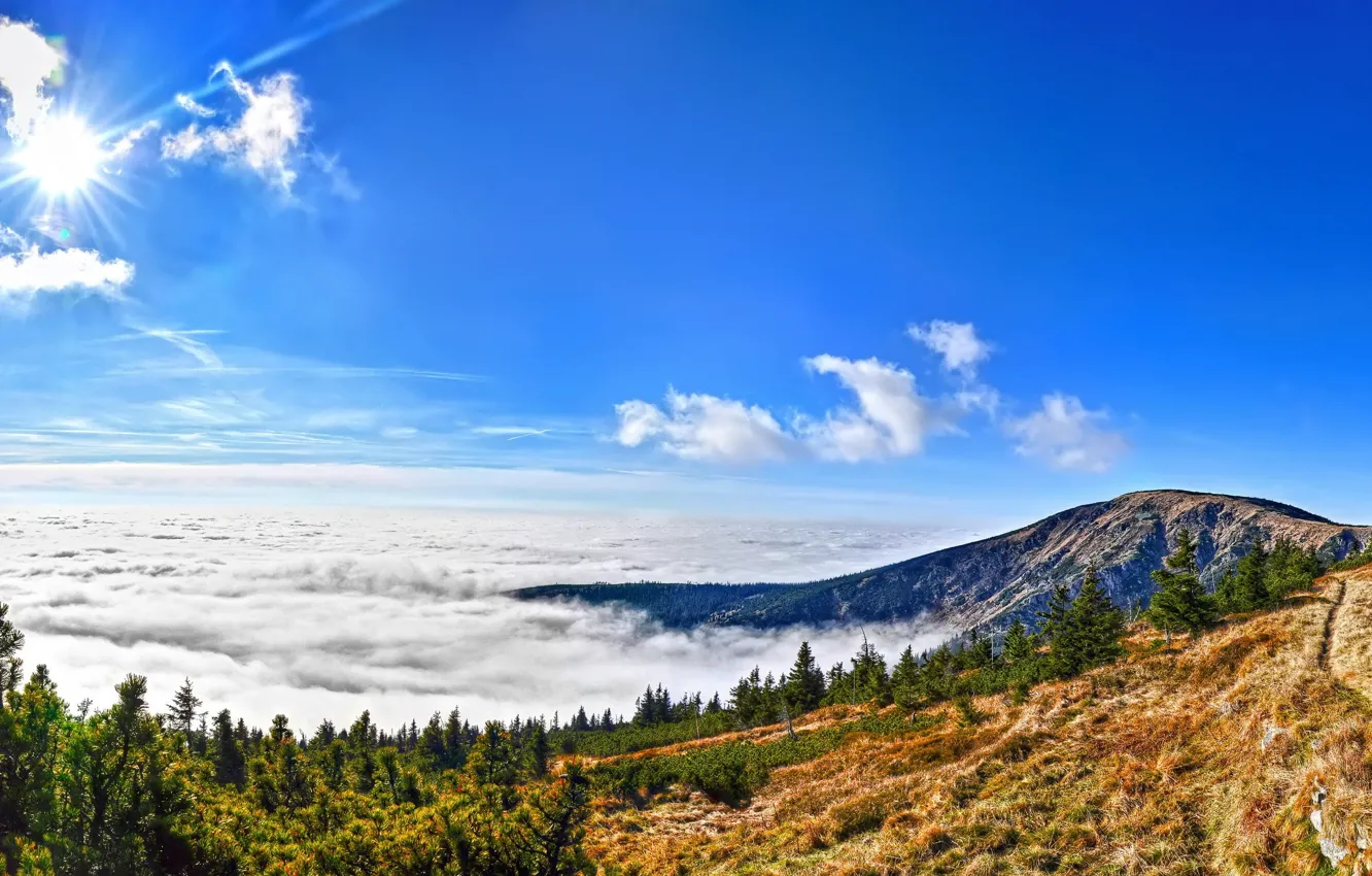Фото обои лес, солнце, облака, горы, Чехия, Национальный парк Крконоше
