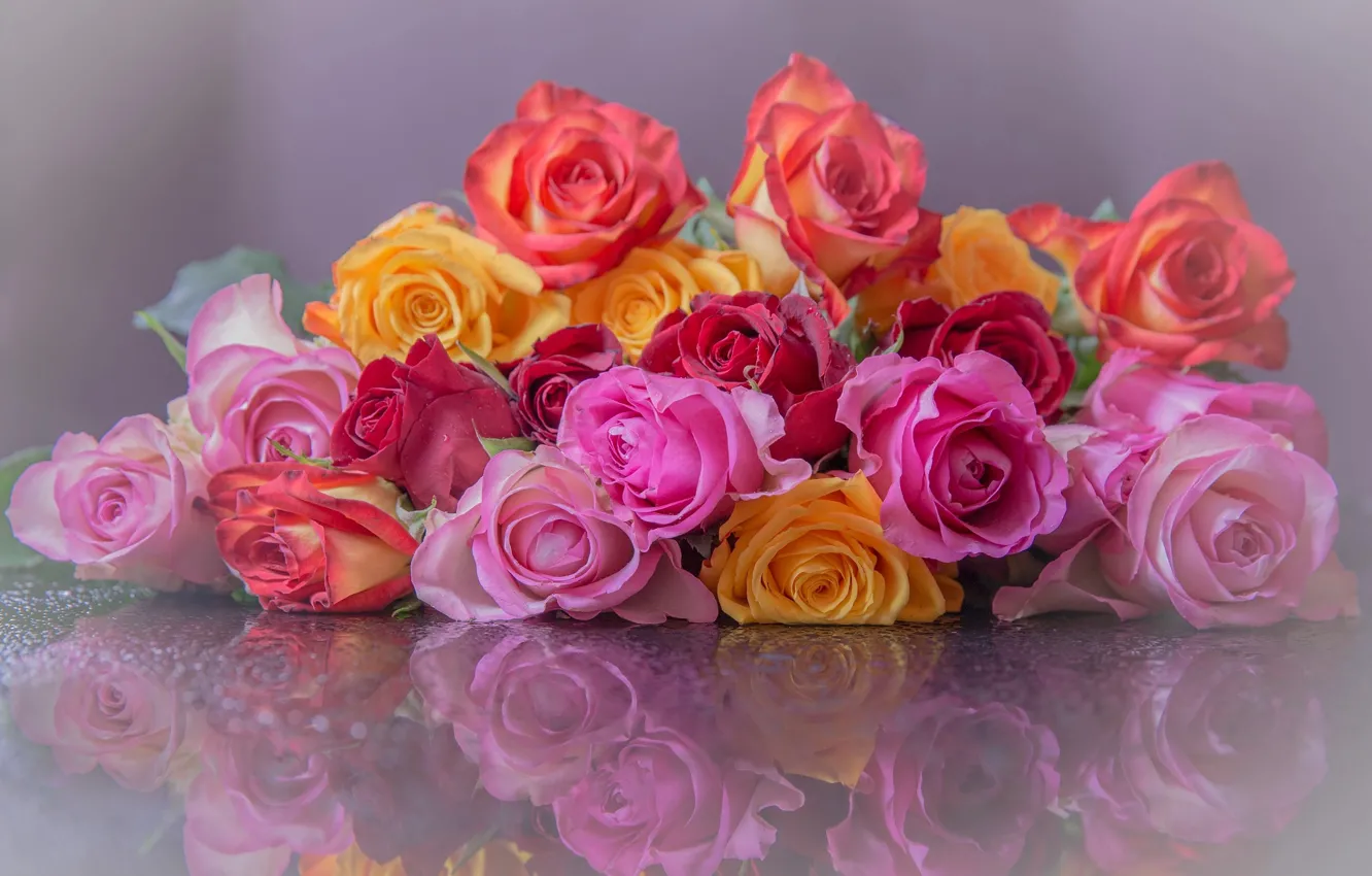 Фото обои цветы, отражение, розы