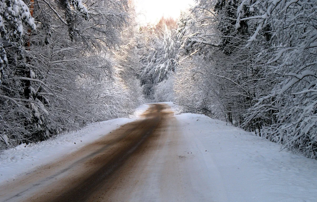 Фото обои зима, дорога, лес, снег, деревья, природа, дороги, фотографии