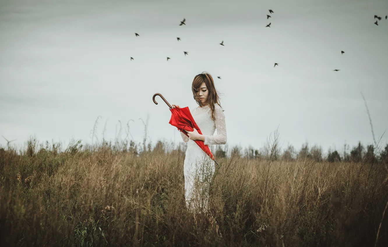 Фото обои гроза, поле, девушка, птицы, волосы, платье, красный зонт, серые облака