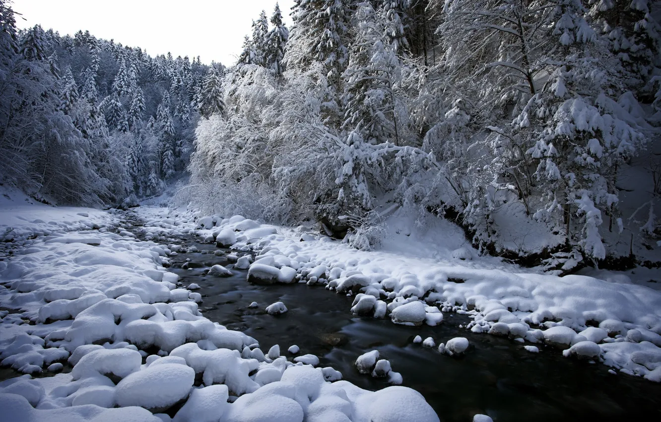 Фото обои снег, природа, река